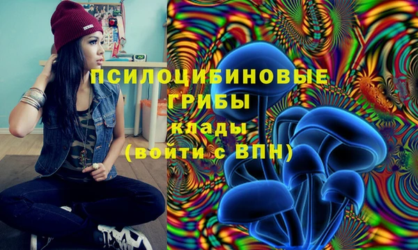 первитин Михайлов
