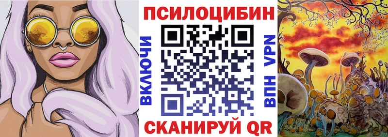 ОМГ ОМГ онион  Чулым  Псилоцибиновые грибы мицелий 